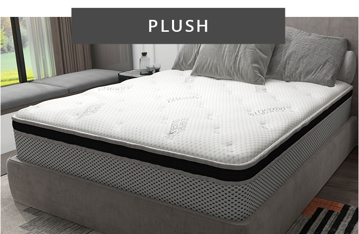Rent to own Plush mattresses at Rent One